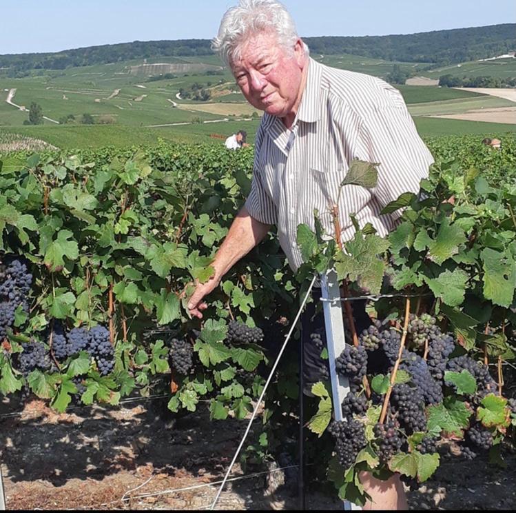 Floressens En Champagne Terrasse Privative Sur Le Vignoble Villa Fleury-la-Riviere Bagian luar foto