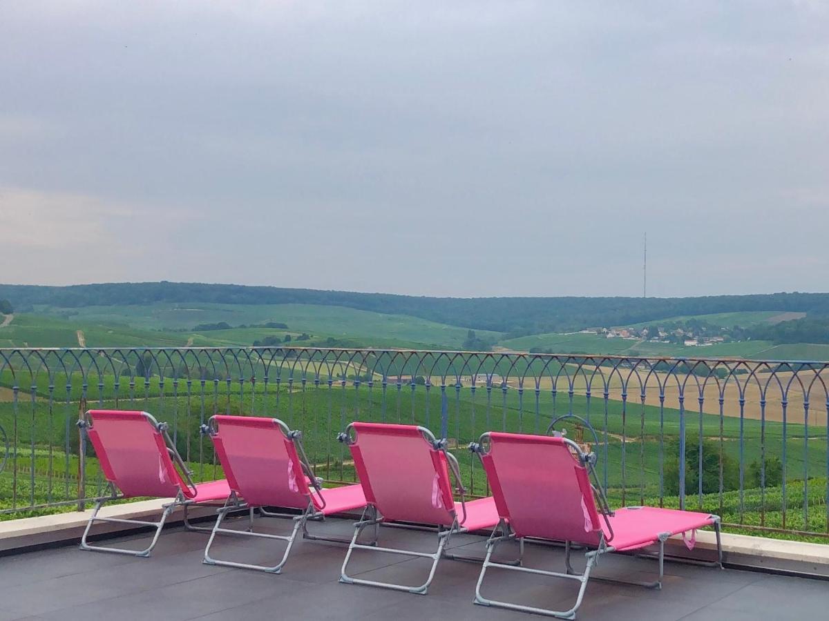 Floressens En Champagne Terrasse Privative Sur Le Vignoble Villa Fleury-la-Riviere Bagian luar foto